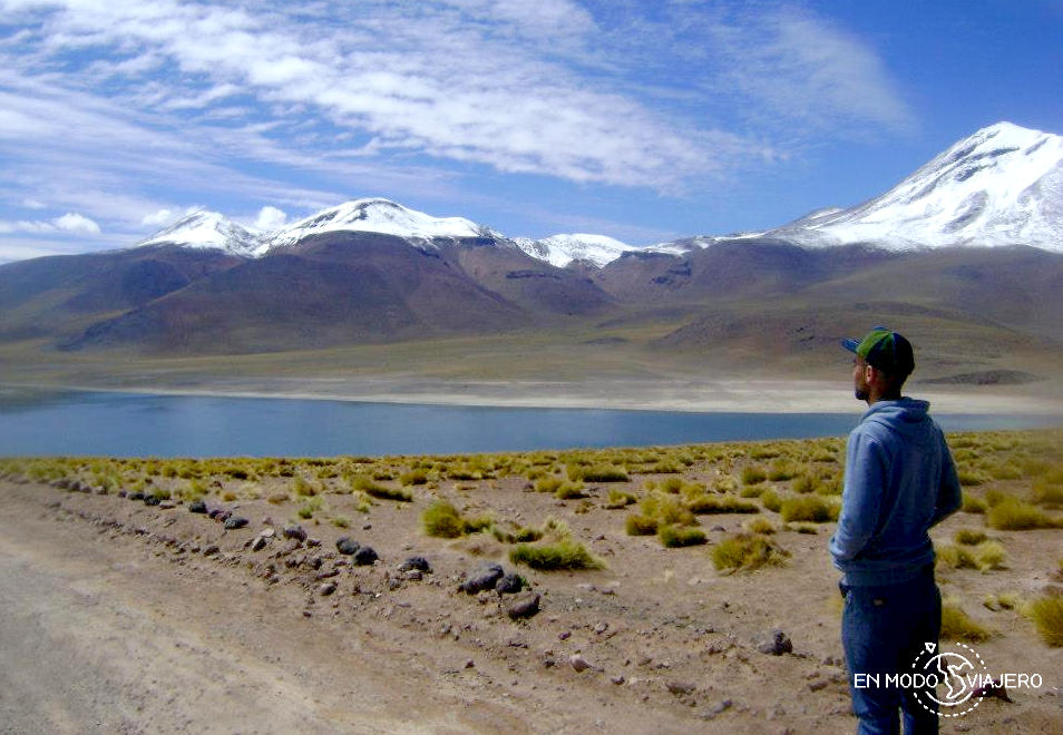 visitar las Lagunas Altplánicas de San Pedro de Atacama.